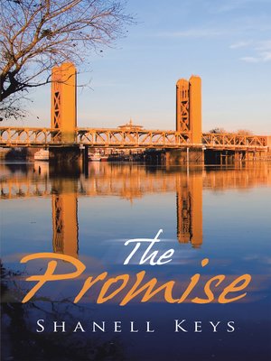 cover image of The Promise